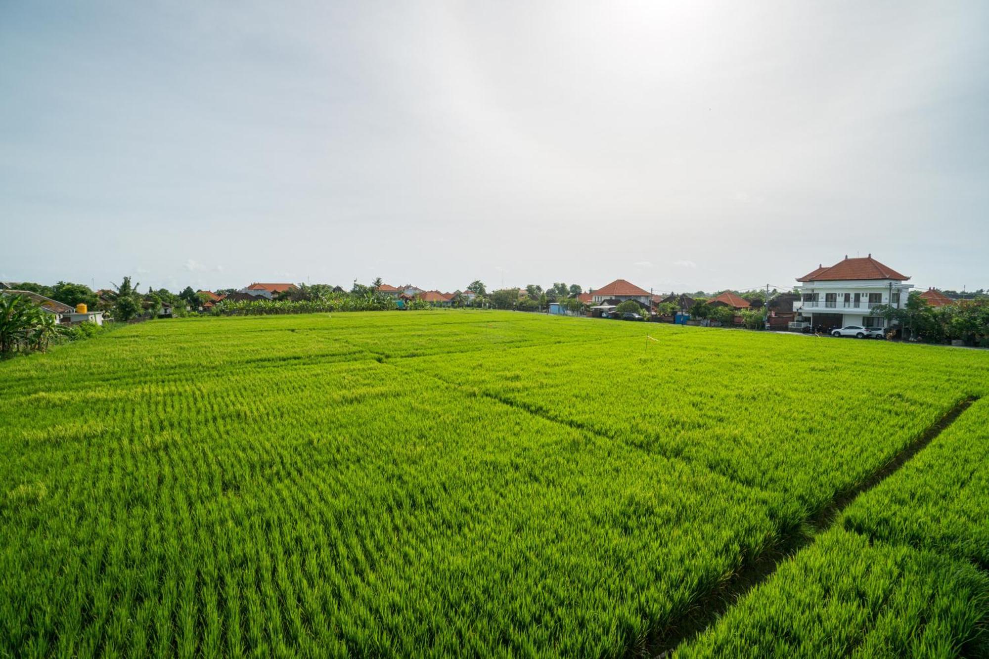 Raka Rai Homestay Чангу Экстерьер фото